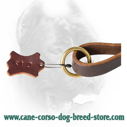Solid Brass O-Ring on Cane Corso Leash 