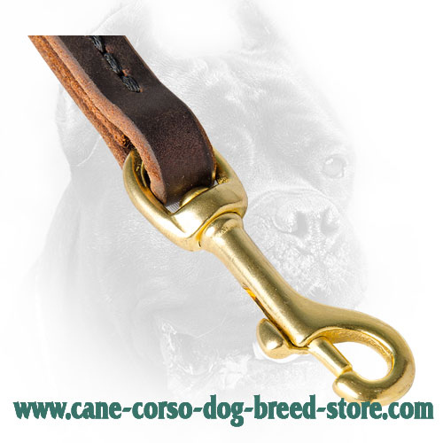 Brass Snap Hook on Leather Cane Corso Leash