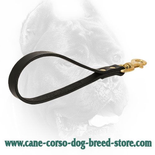 Short black leather dog lead stitched for durability