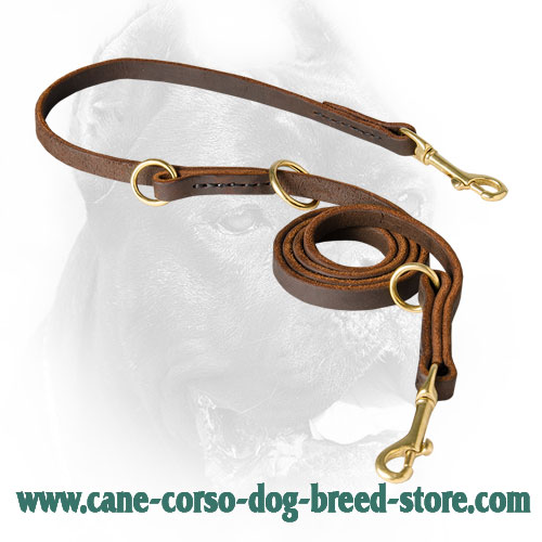 Walking Training Cane Corso Leash Adjustable with 3 O-Rings