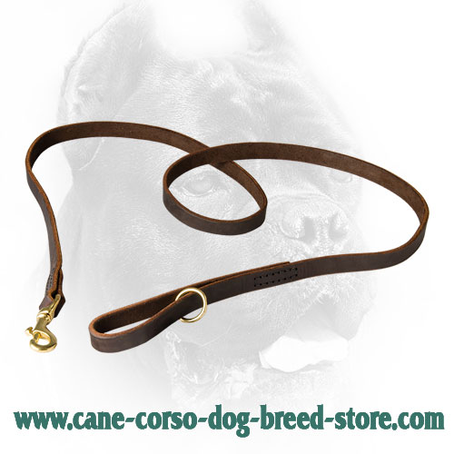Leather Cane Corso Leash with Smooth Surface