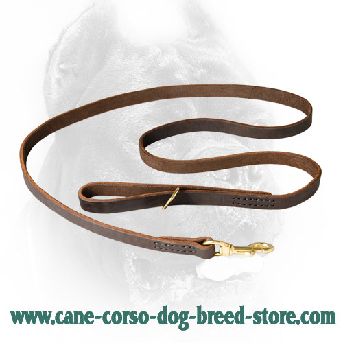 Leather Dog Leash for Management of Cane Corso
