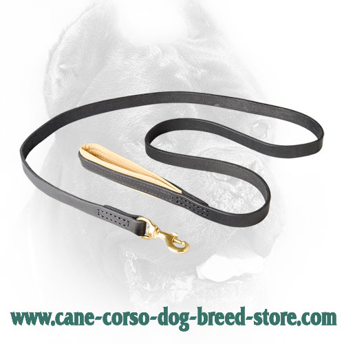 Leather Dog Leash for Training, Walking Cane Corso
