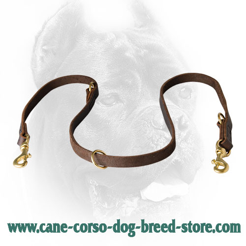 Unique Leather Dog Leash for Cane Corso