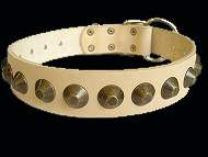 Gorgeous Wide Leather Dog Collar for CANE CORSO Gorgeous Wide Leather Dog Collar for CANE CORSO