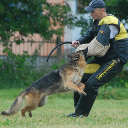 Dog protection sleeves, Dog Training Equipment, Cane Corso Protection Training Equipment, Puppy bite sleeve, hard bite sleeves and more high quality dog training supplies for Cane Corso and Activite dogs Dog protection sleeves, Dog Training Equipment, Cane Corso Protection Training Equipment, Puppy bite sleeve, hard bite sleeves and more high quality dog training supplies for Cane Corso and Activite dogs