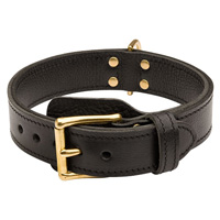 Two ply leather agitation dog collar for Cane Corso-this collar is 1 3/4 inch (40 mm) wide