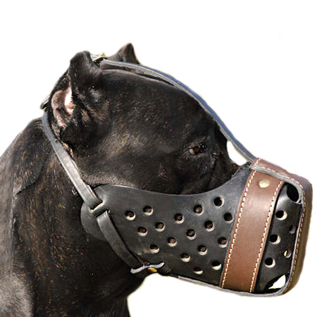 This muzzle is very comfortable for your dog Leather dog muzzle for Cane Corso mastiff-Comfortable leather muzzle is made of special strong leather