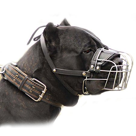 Cane Corso dog muzzles, Cane Corso leather dog muzzle, Cane Corso agitation muzzle , Cane Corso wire basket dog muzzles