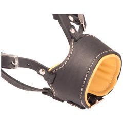 Nappa padded muzzle made of select leather