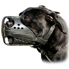 Comfortable exclusive leather dog muzzle
