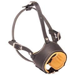 Reliable everyday leather dog muzzle