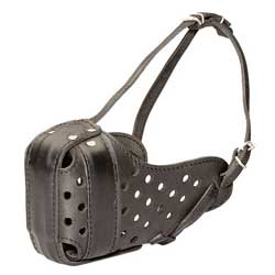Well-made leather dog muzzle
