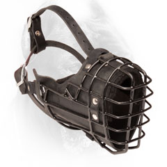 Cane Corso muzzle metal rubber covered basket for winter