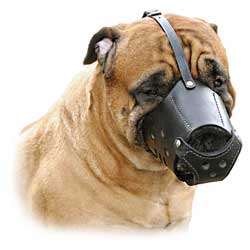 Custom made leather dog muzzle