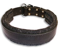 Leather dog collar padded with thick felt