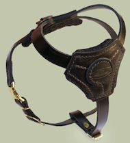 Small Leather Dog Harness for Cane Corso puppy