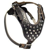 Cane Corso Spiked leather dog harness- Cane Corso custom harness