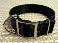 2 Ply Nylon Dog Collar for Cane Corso-Wide nylon collar