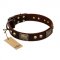 "Magic Amulet" Brown Leather Cane Corso Collar with Skulls and Plates
