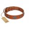 "Foxy Nature" FDT Artisan Tan Leather Cane Corso Collar with Chrome Plated Brooches