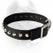 Gorgeous Nylon Dog Collar With Nickel Pyramids