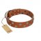 "Ancient Symbol" Trendy FDT Artisan Tan Leather Cane Corso Collar with Silver- and Gold-Like Studs