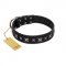 "Polar Lights" Designer FDT Artisan Black Leather Cane Corso Collar with Silver-Like Studs