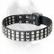 Silver Pyramid Studded Leather Dog Collar for Cane Corso