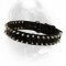 Black Colored Nylon Dog Collar with Two Rows of Shiny Spikes