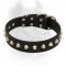 "Starry and Elegant" Leather Cane Corso Collar with Silver-Like Studs