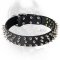 Wide Leather Spiked Dog Collar - Fashionable Design
