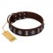 "Spiky Way" FDT Artisan Brown Leather Cane Corso Collar with Silver-Like Decorations