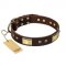 "Rich Fashion" FDT Artisan Decorated Leather Cane Corso Collar with Plates and Studs