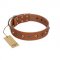 "Silver Age" Fashionable FDT Artisan Tan Leather Cane Corso Collar with Silver-Like Studs