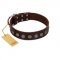 "Starry-Eyed" Best Quality FDT Artisan Brown Designer Leather Cane Corso Collar with Small Plates