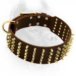 3 inch Spiked Leather Dog Collar for Cane Corso