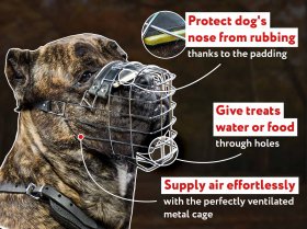 'The Silencer' Easy to Use Wire Basket Cane Corso Muzzle With One Strap