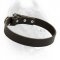 Field Leather Dog Collar-Custom Cane Corso Breed Collar