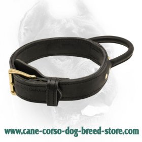 2 ply Leather Agitation Dog Collar with Durable Handle for CANE CORSO