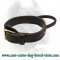 2 ply Leather Agitation Dog Collar with Durable Handle for CANE CORSO