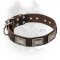 Vintage Leather Cane Corso Collar with Studs and Dotted Plates