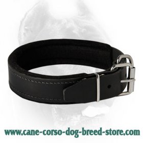 Leather dog collar padded with thick felt - best dog collar