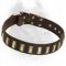 Decorated Leather Dog Collar With Sparkling Plates