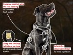Y-shaped Tracking Dog Harness-Leather Handicraft Cane Corso Harness