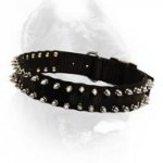 Black Colored Nylon Dog Collar with Two Rows of Shiny Spikes