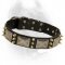 Deluxe Leather Dog Collar with Massive Nickel Plates and Brass Spikes