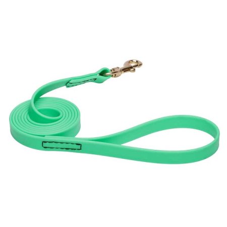 Green Waterproof Cane Corso Leash Made of Biothane