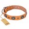 "Twinkle Twinkle" FDT Artisan Incredible Studded Tan Leather Cane Corso Collar