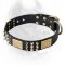Excusive Leather Collar - Both Spiked & Studded Cane Corso Collar